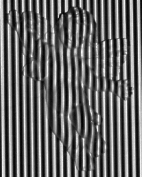 Fig5a
